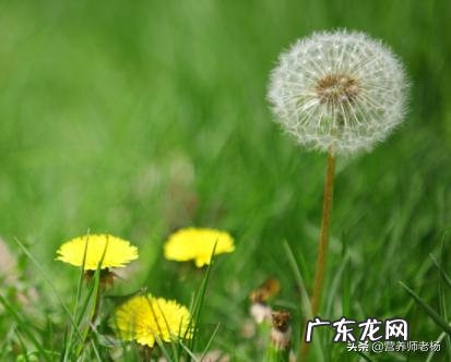 2月4日，将迎来“立春”节气，饮食上吃点啥好？又该预防哪些疾病？