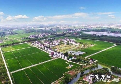 可以在国庆节朗诵的诗歌有哪些?