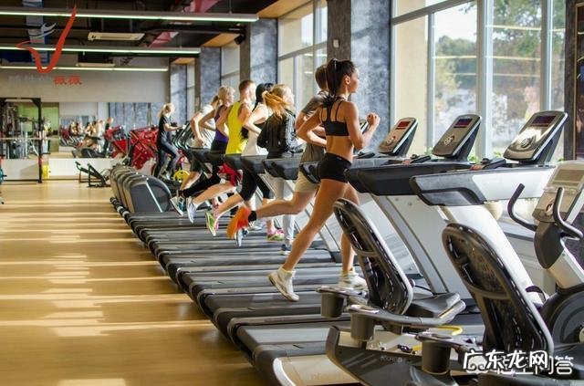 在跑步机上天天跑步半小时,连续坚持四至六个月会产生哪些好处?