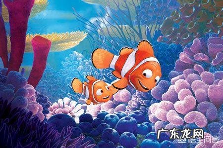 小丑鱼可以变性吗?