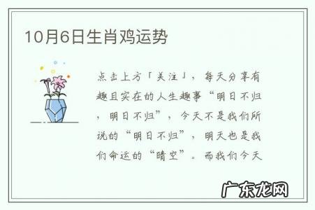 10月6日生肖鸡运势-10月6日生肖鸡运势如何