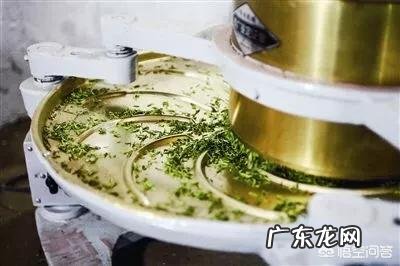 如何制作桑叶茶?