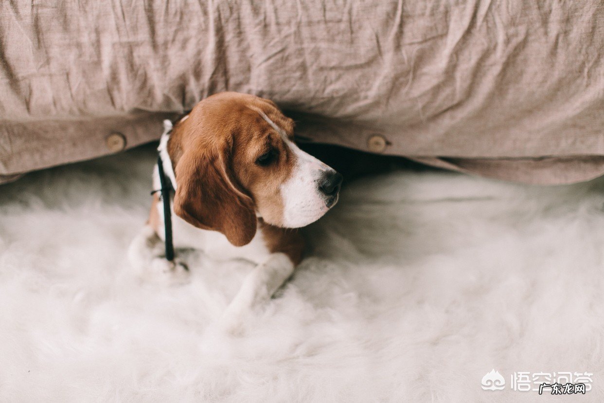 什么叫“习惯了孤独”?