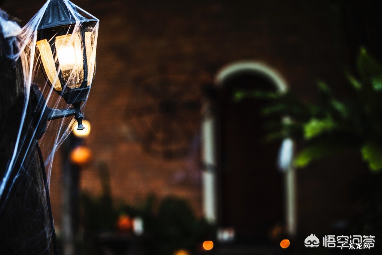 什么叫“习惯了孤独”?