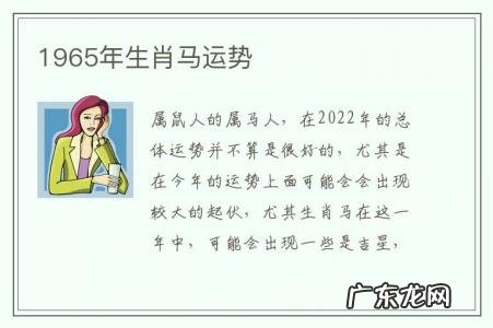 1965年生肖马运势-生肖马1965年是什么命