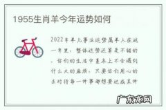 1955生肖羊今年运势如何-1955年的羊,今年财运怎么样