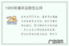 1965年属羊运势怎么样-1965年属羊的人什么命