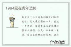 1984鼠在虎年运势-