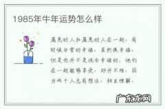 1985年牛年运势怎么样-1985年属牛哪年运势最好
