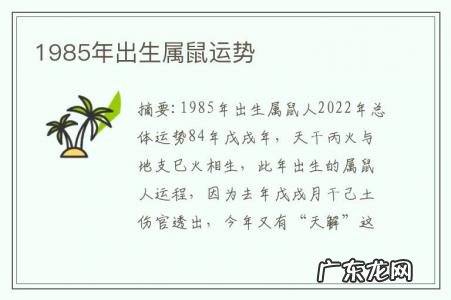1985年出生属鼠运势-1985年鼠年运势