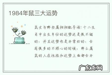 1984年鼠三大运势-1984年鼠三大运势是什么命