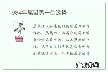 1984年属鼠男一生运势-1984年属鼠男一生财运