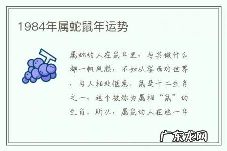 1984年属蛇鼠年运势-1984年属蛇鼠年运势如何