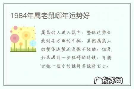 1984年属老鼠哪年运势好-1984年属老鼠哪年运势好呢