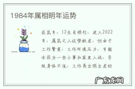 1984年属相明年运势-1984年属相明年运势如何