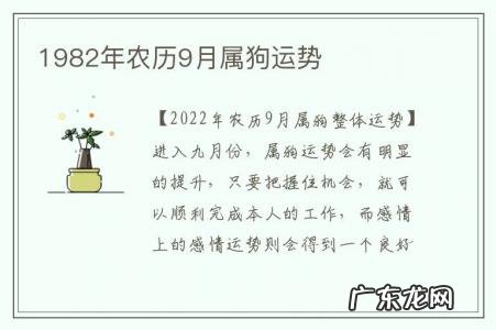 1982年农历9月属狗运势-1982年属狗农历9月是什么命