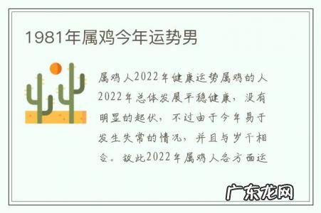 1981年属鸡今年运势男-1981年属鸡男的运势