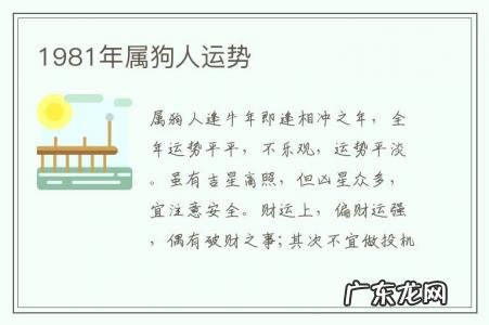 1981年属狗人运势-81年今年属狗的全年运势