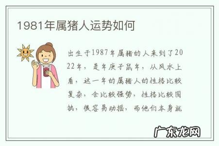 1981年属猪人运势如何-1981年属猪的人是什么命