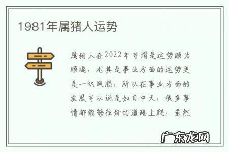 1981年属猪人运势-1981年属猪的是什么命