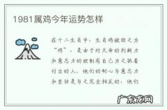 1981属鸡今年运势怎样-1981属鸡的今年每月运势如何