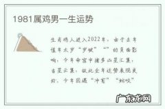 1981属鸡男一生运势-1981年属鸡男一生运势及运程