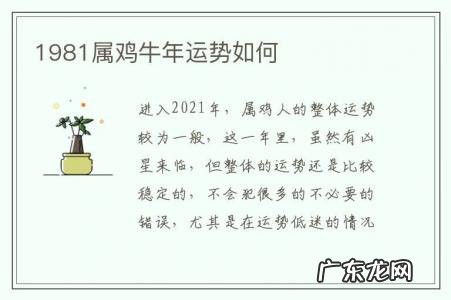 1981属鸡牛年运势如何-81年的鸡牛年运势