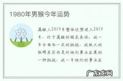 1980年男猴今年运势-1980年属猴男运势及运程