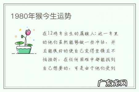 1980年猴今生运势-属猴1980年运势