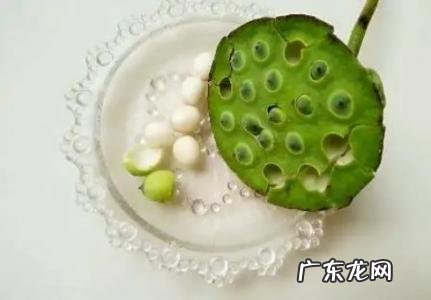 新鲜莲子生吃好还是煮熟吃好 吃新鲜莲子要注意什么