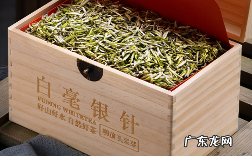 福鼎白茶白毫银针保质期有多久 福鼎银针和政和银针的区别