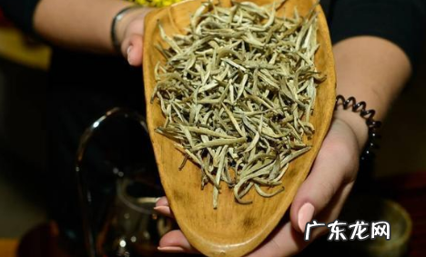 正宗福鼎白毫银针多少钱一斤 白毫银针两大原产地是哪