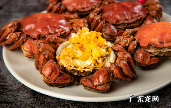 大闸蟹母蟹和公蟹哪个好区别在哪 吃大闸蟹的最佳时间推荐