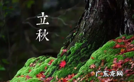 2022立秋东北就冷了吗 立秋的6大注意事项