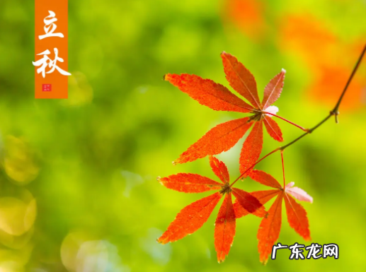 2022东北立秋后天气还热吗 立秋吃什么好对身体好