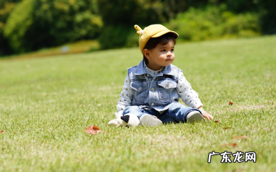 2023年属兔的宝宝父母属什么好 2023年几月出生命最好