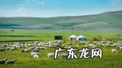 呼伦贝尔8月份温度是多少 8月份去呼伦贝尔有哪些是要注意