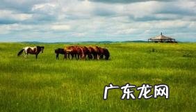 呼伦贝尔大草原8月份草是绿的吗 呼伦贝尔大草原8月份穿什么衣服