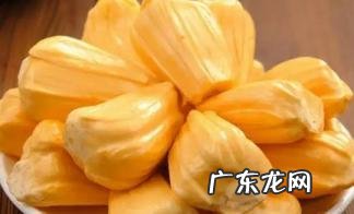 菠萝蜜核的吃法及禁忌 菠萝蜜太多吃不完怎么办