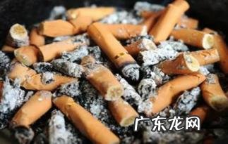 人被烟头烫一般是几度 烟头中心温度可达700到800度吗