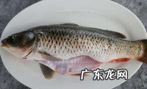 云南盘鮈鱼多少钱一斤2022 盘鮈鱼好吃吗营养价值多少