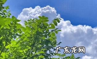 2022年秋老虎是几点几分几秒 秋老虎吃10中食物能养生