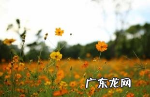 2022年秋老虎是几点几分几秒 秋老虎吃10中食物能养生