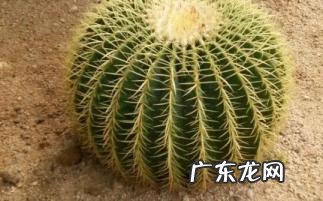 最近总是不顺怎么破解霉运 7种会招来霉运的不祥之物