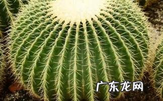 最近总是不顺怎么破解霉运 7种会招来霉运的不祥之物