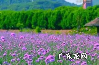 可爱在性感面前一文不值 美不自知下一句