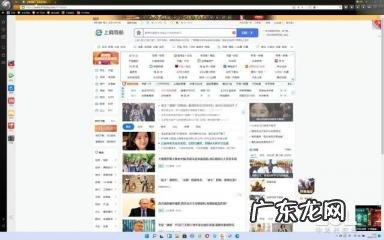 浏览器哪个好用速度快,最好用的浏览器排行榜