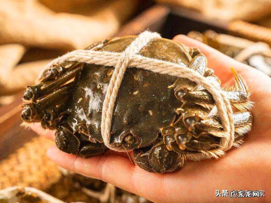 大闸蟹怎么做才好吃又简单 大闸蟹怎么做最好吃简单