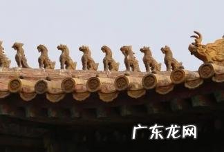 龙和凤结合生出来是什么 凤育五雏是哪五雏