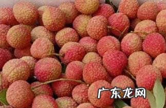 白糖罂荔枝和妃子笑荔枝哪个好吃 白糖罂怎么读